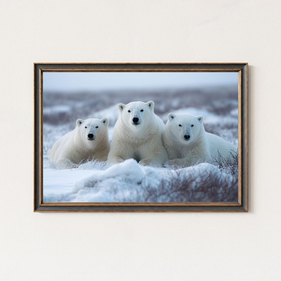 Polar Bear Photography Print Arctic Wildlife Wall Art