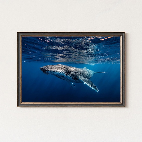 Humpback Whale Gliding Through Deep Blue Ocean Underwater Life Poster
