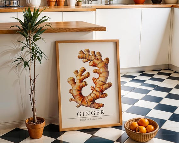 Ginger Root Botanical Print Modern Spice Kitchen Wall Art With Earthy Herbal Illustration For Pantry Or Culinary Decor Herbs And Spices