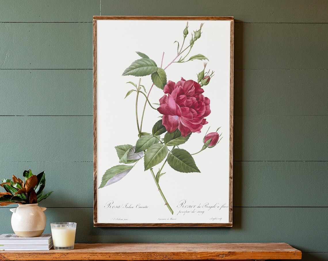 Red Rose Botanical Art Print for Living Room Decor