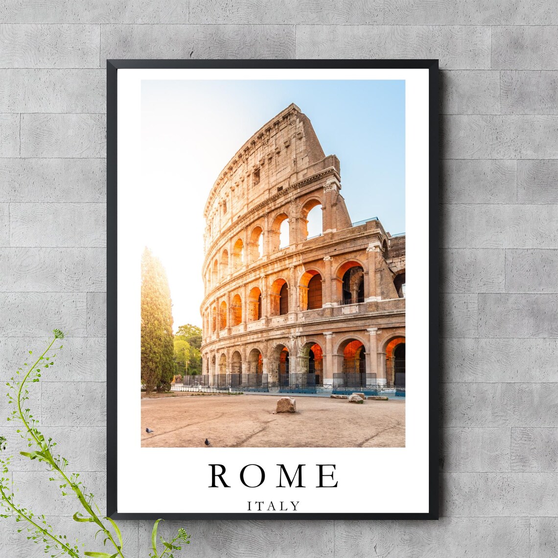 Rome Italy Colosseum Ancient Amphitheater Landmark Travel Photo Poster