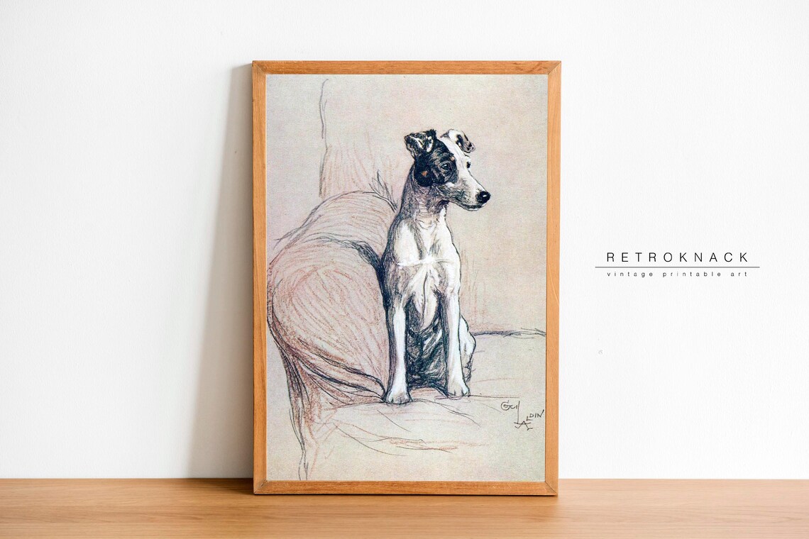Smooth Fox Terrier Portrait Cecil Aldin Classic Dog Art Print - Image 3