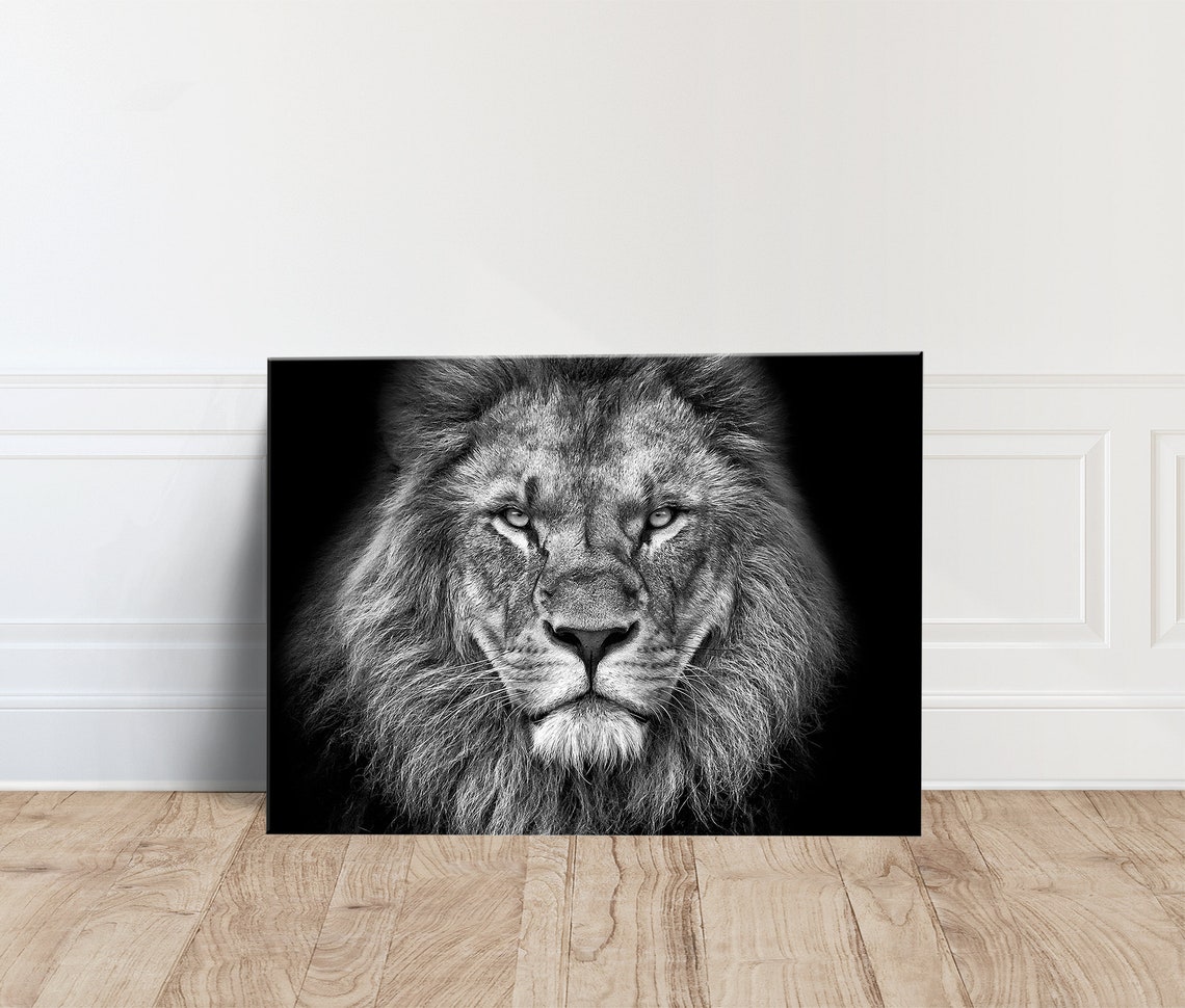 Effect Lion Canvas Wall Art Print Poster