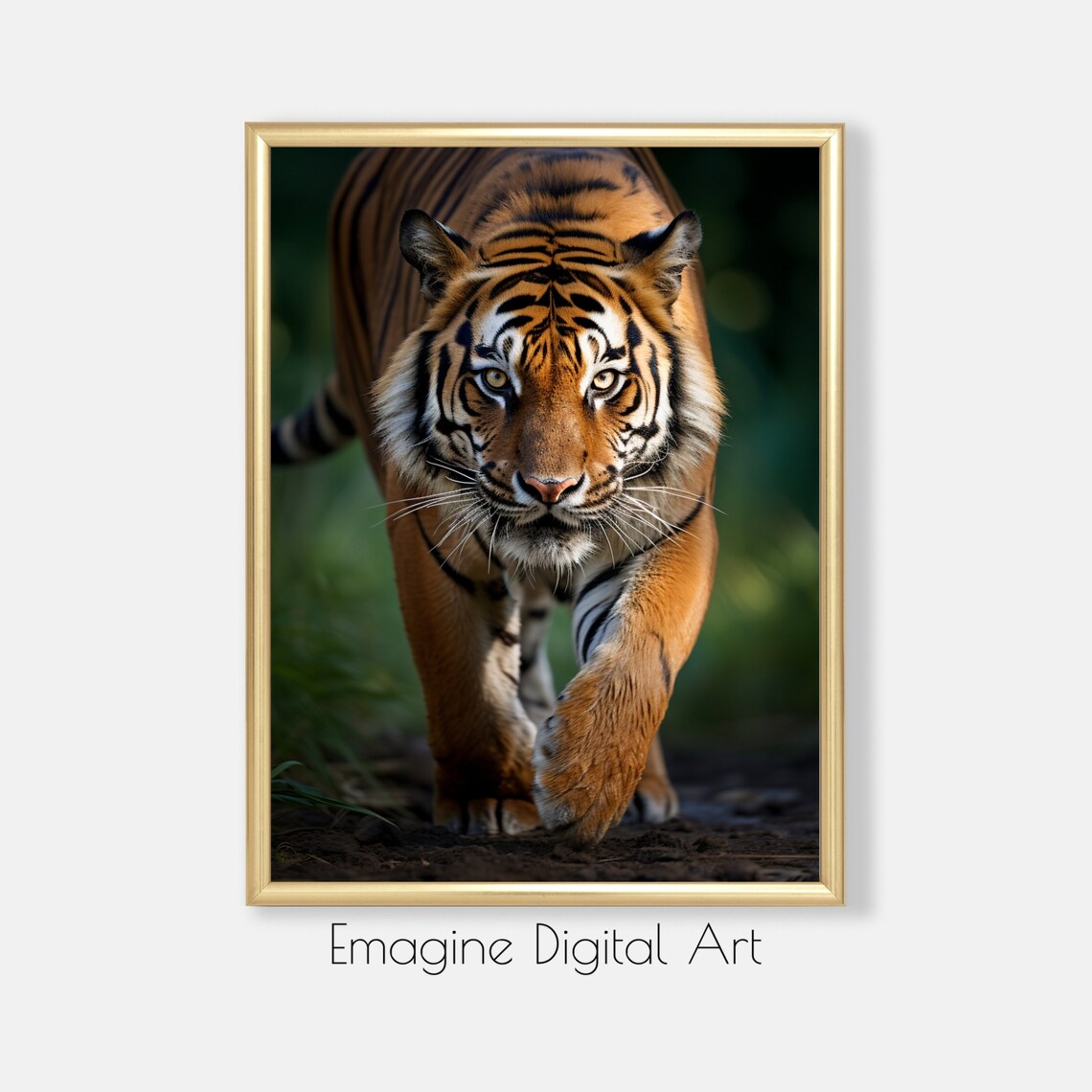 Prowling Tiger Wildlife Photo Art Print