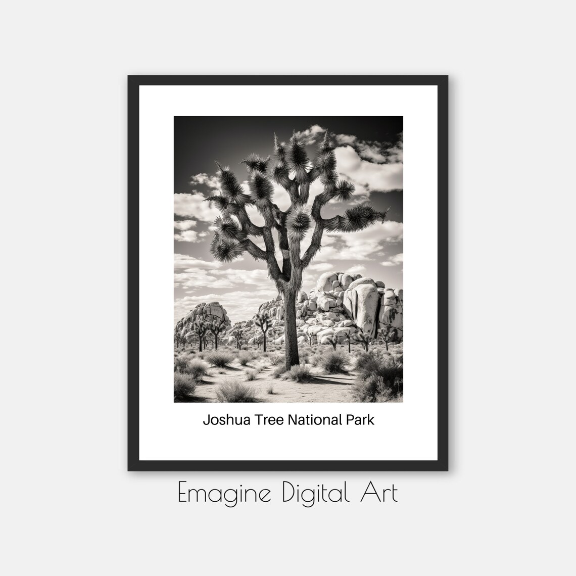 Joshua Tree National Park Black and White Desert Photo Art Poster