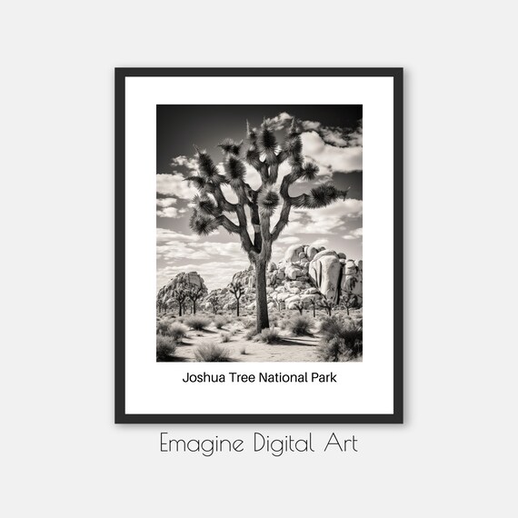 Joshua Tree National Park Black and White Desert Photo Art Poster