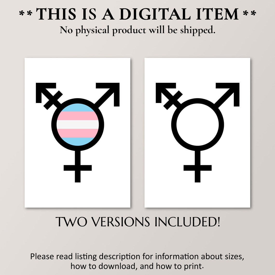 Transgender Symbol Pride Flag Colors Minimalist LGBTQ Wall Poster - Image 4