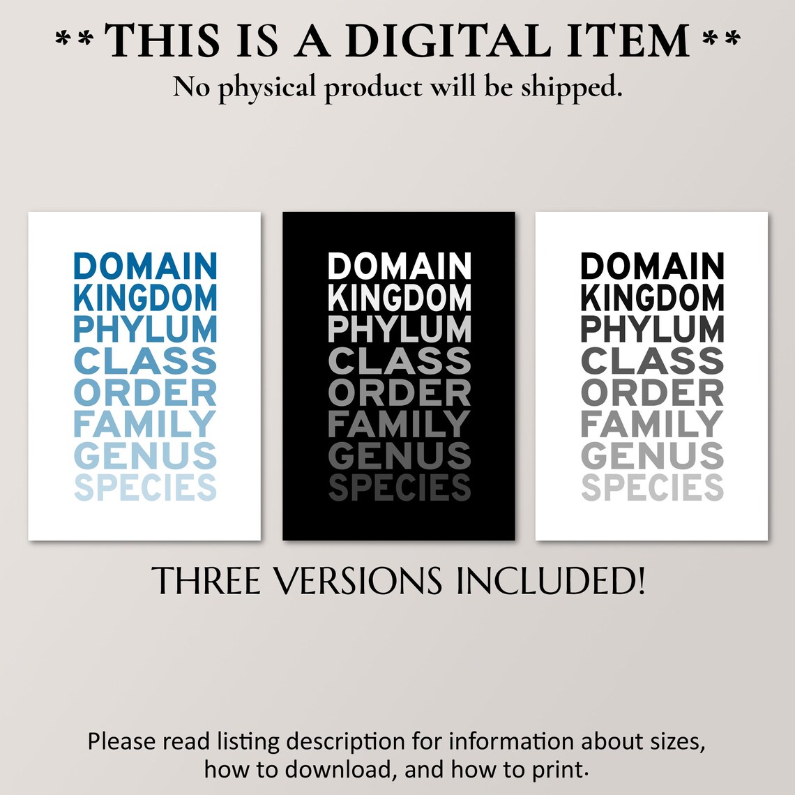 Taxonomic Rank Science Geek Poster, Office Art Print - Image 4