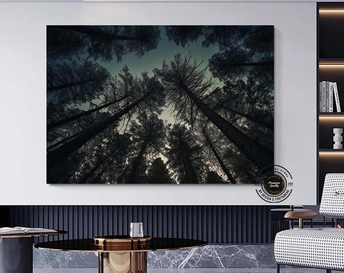 Pine Tree Canopy Viewed from Below Beneath a Night Sky Poster