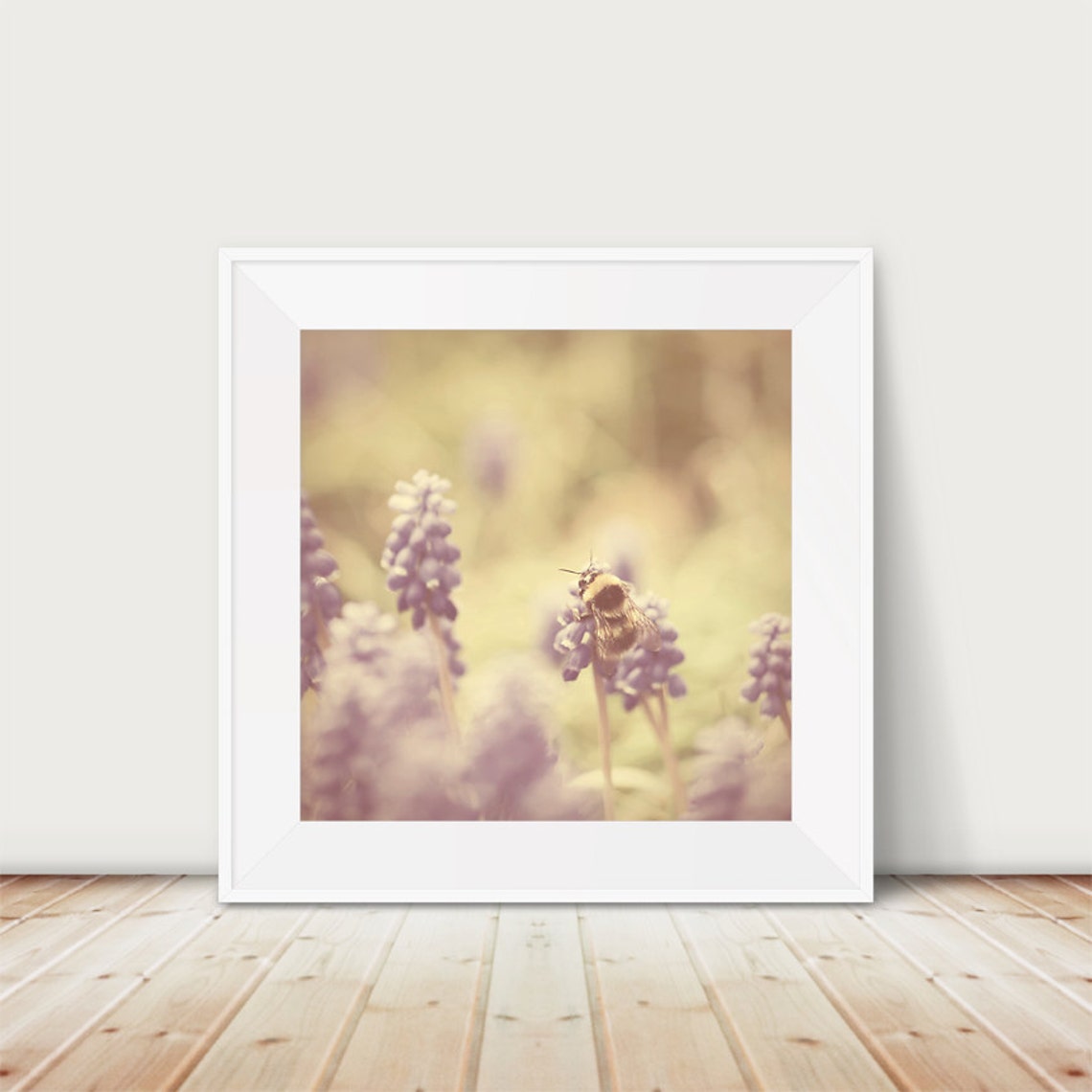 Bumblebee On Purple Grape Hyacinth Flower Macro Photo Poster