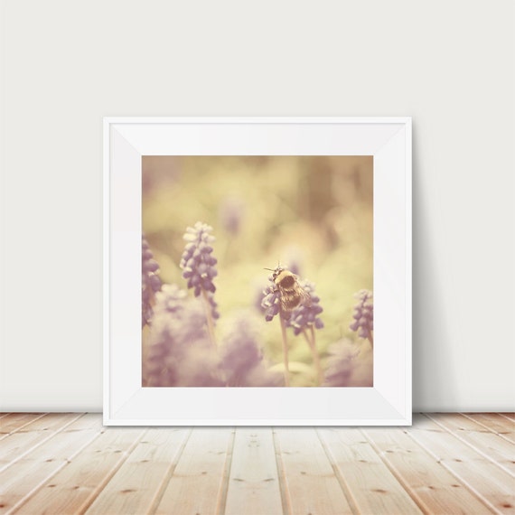 Bumble Bee Photograph Insect Print Purple Flower Wall Art Animal Photography English Garden
