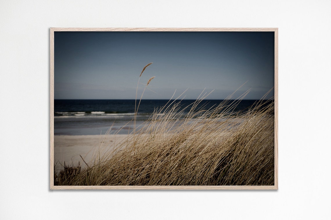 Golden Sea Grass Dunes Beach Horizontal Seascape Photo Poster