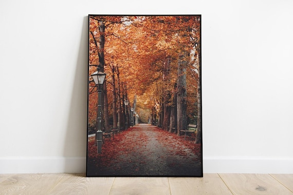 Autumn Avenue Photography Poster Fall Foliage Lined With Lampposts