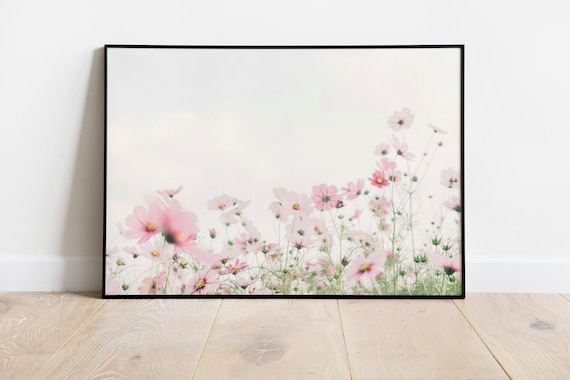 Soft Pink Cosmos Flowers Nursery Decor Photography Art Poster