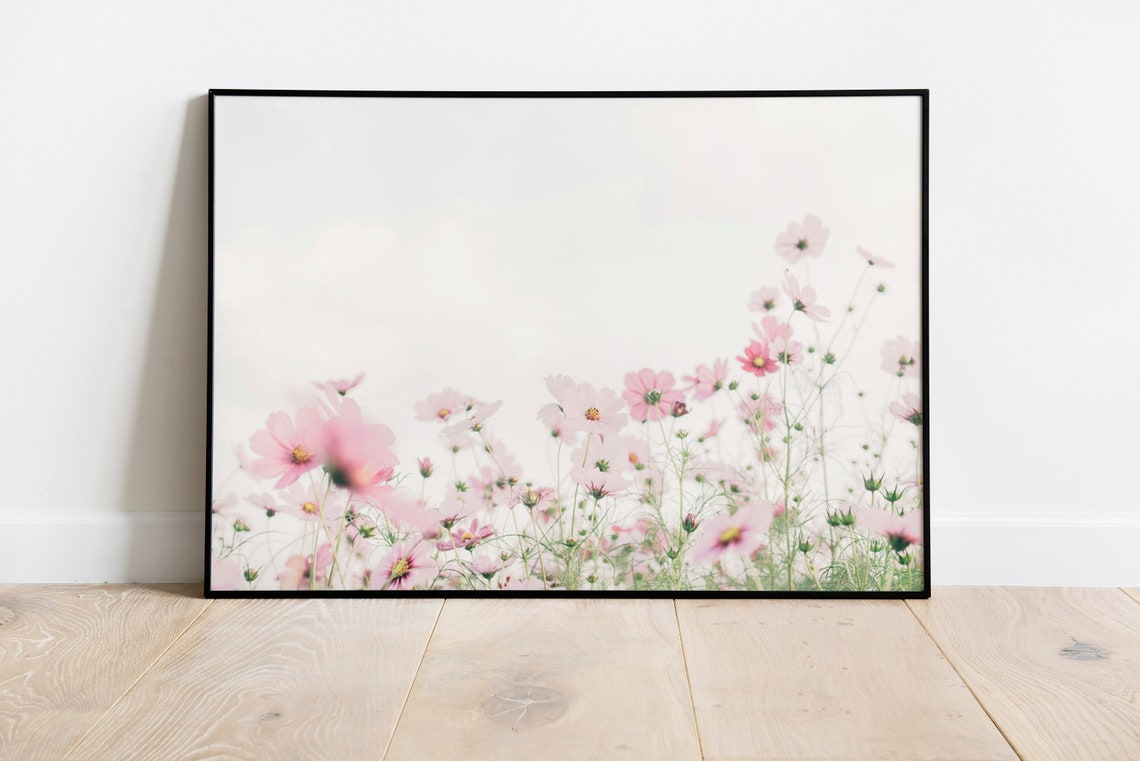 Soft Pink Cosmos Flowers Nursery Decor Photography Art Poster