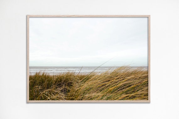 Sea Grass Wall Art Landscape Beach Photography Pastel Coastal Decor Natural Botanical Pampas Print