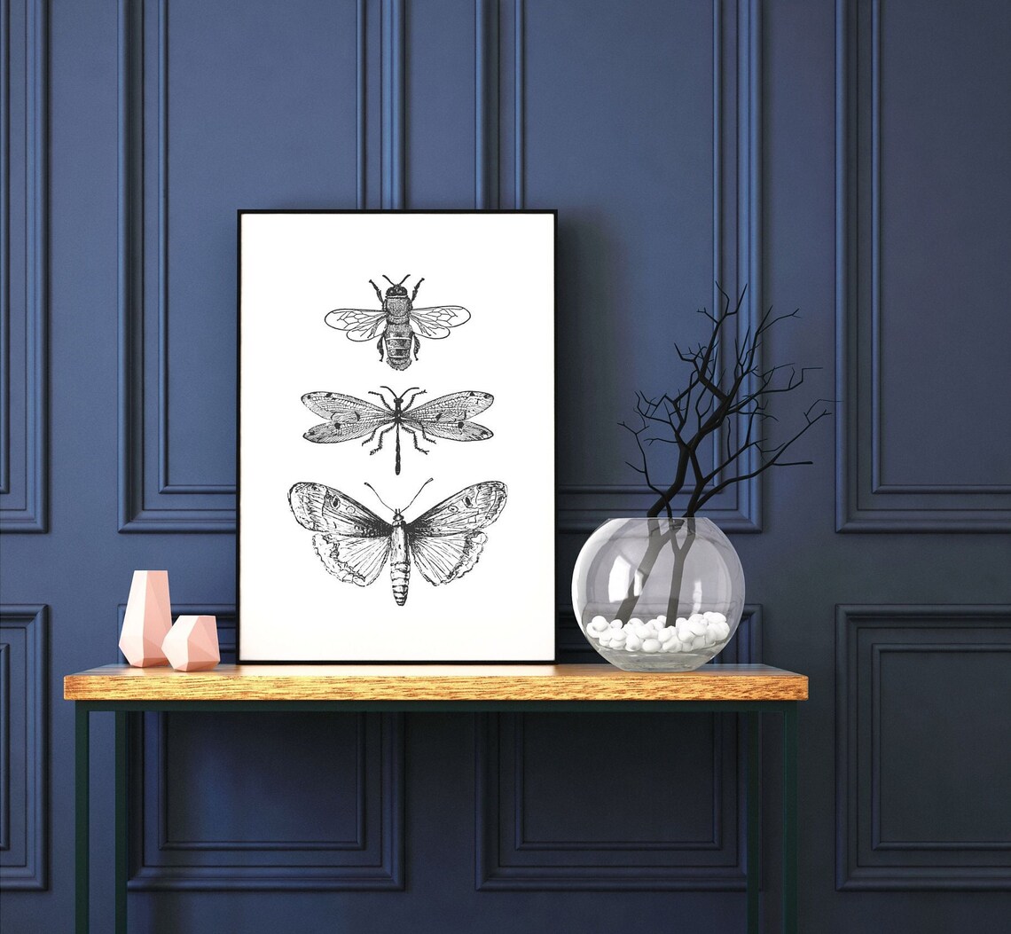 Bee Moth Dragonfly Sketch Trio, Minimal Ink Line Art Print - Image 3