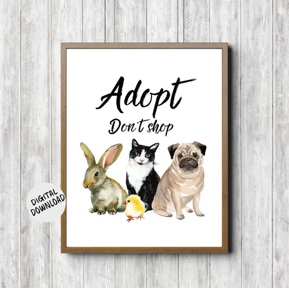 Adopt Dont Shop Rescue Animal Adoption Quote Wall Art Veterinary Animal Shelter Poster Gift Pet Decor