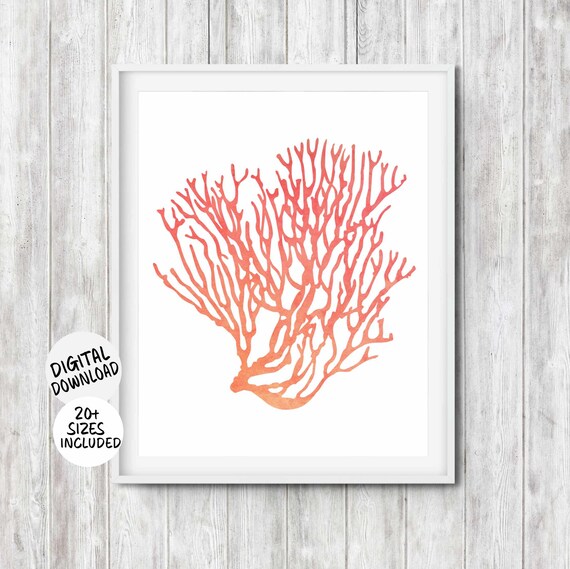 Sea Coral Coastal Wall Art Sea Life Bathroom Art Print Beach House Coastal Decor Minimalist Nautical Nursery Under The Sea