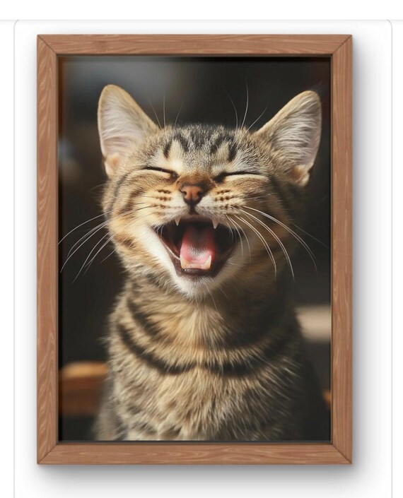 Laughing Kitten Arrt Print Cute Tabby Cat Phhotography For Lovers Funny Wall Art Wholesome Pet Decor Animal Gift