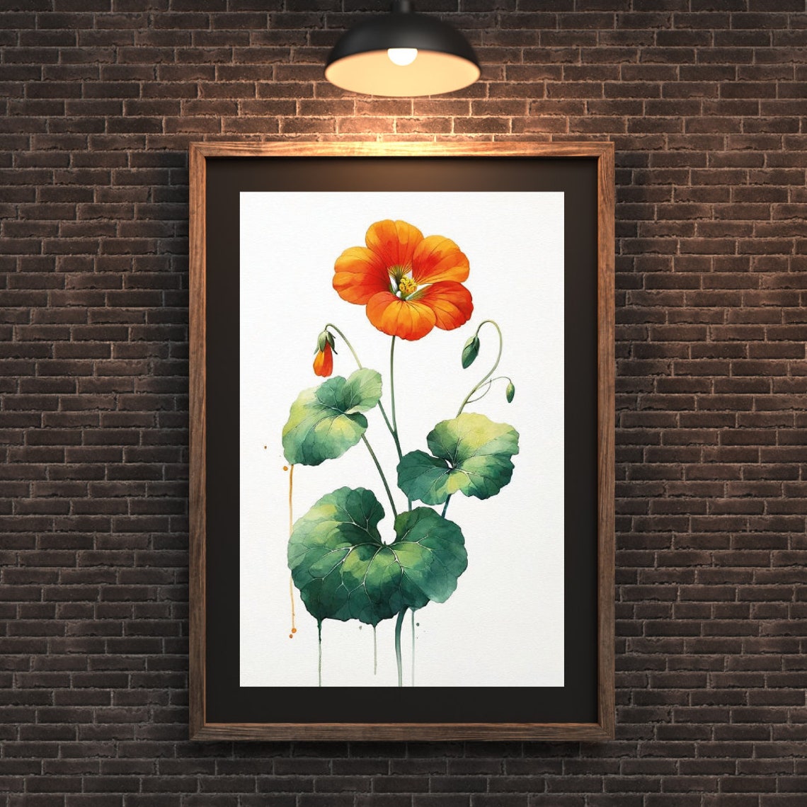Vibrant Orange Nasturtium Flower Watercolor Botanical Poster - Image 4