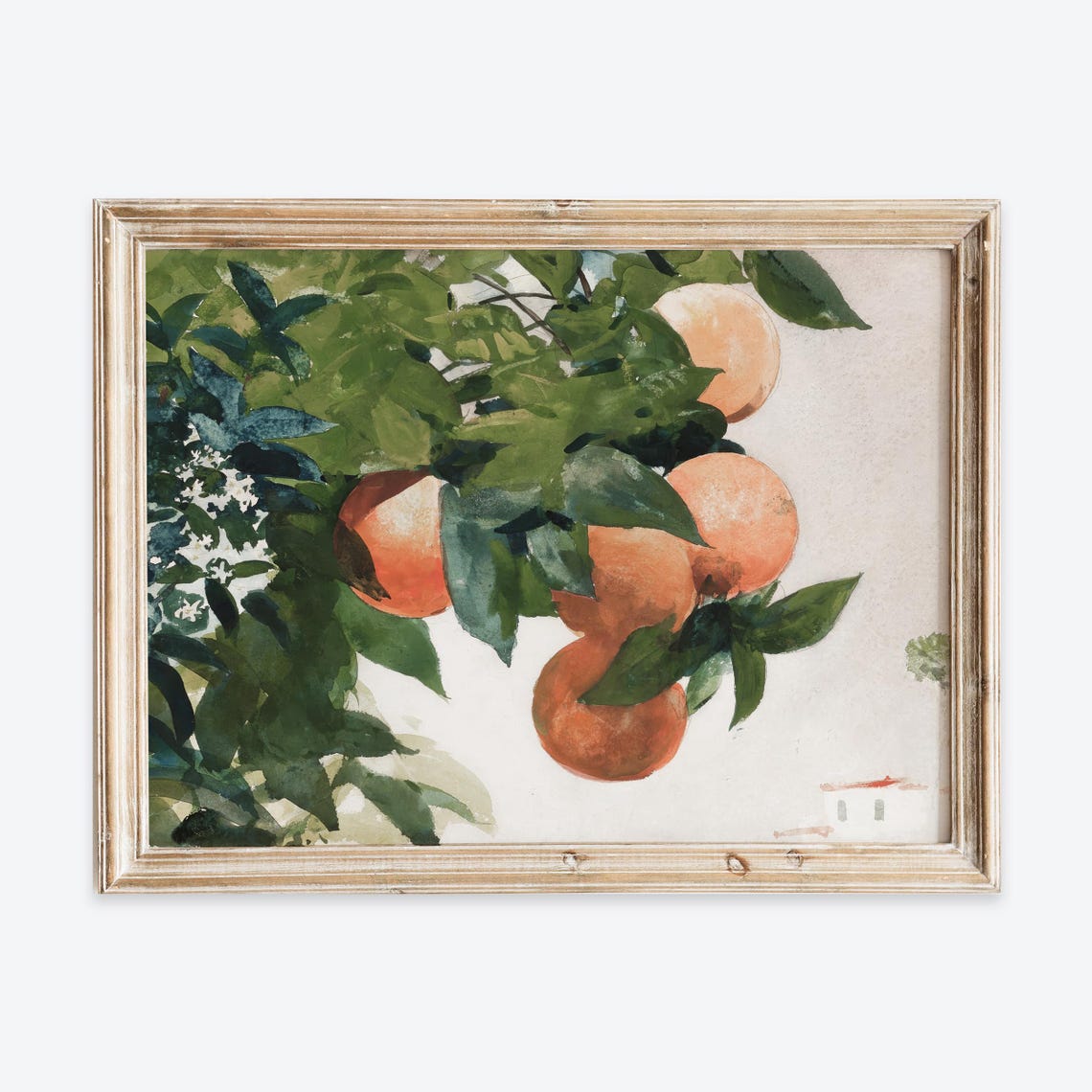 Ripe Oranges on a Branch Watercolor Citrus Still Life Art Print