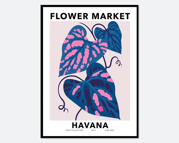 Flower Market Havana Blue Pink Tropical Leaves Botanical Poster