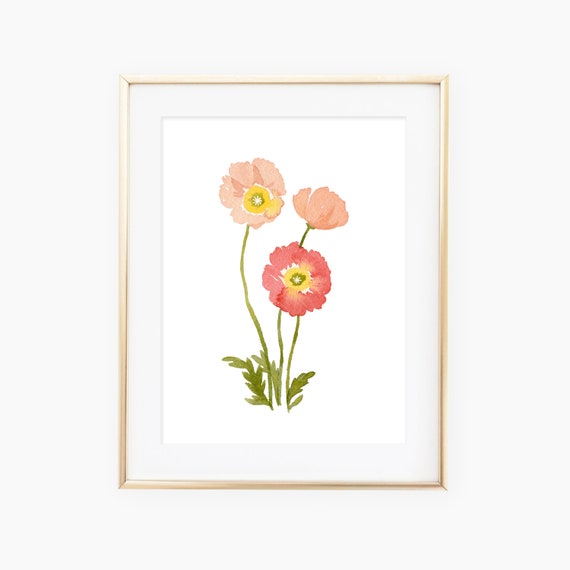 Pink Poppy Flowers Watercolor Art Print