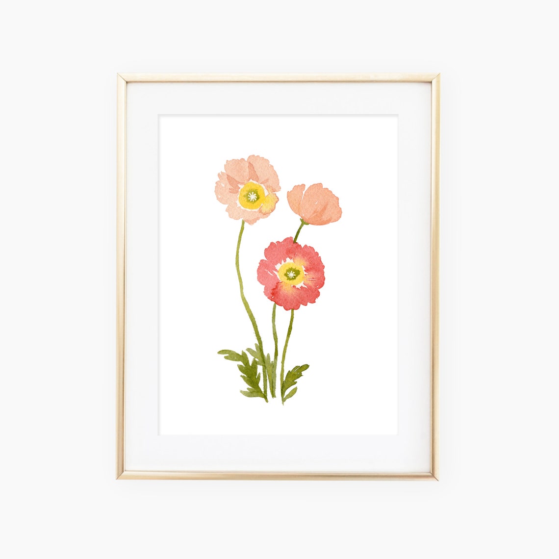 Pink Poppy Flowers Watercolor Art Print