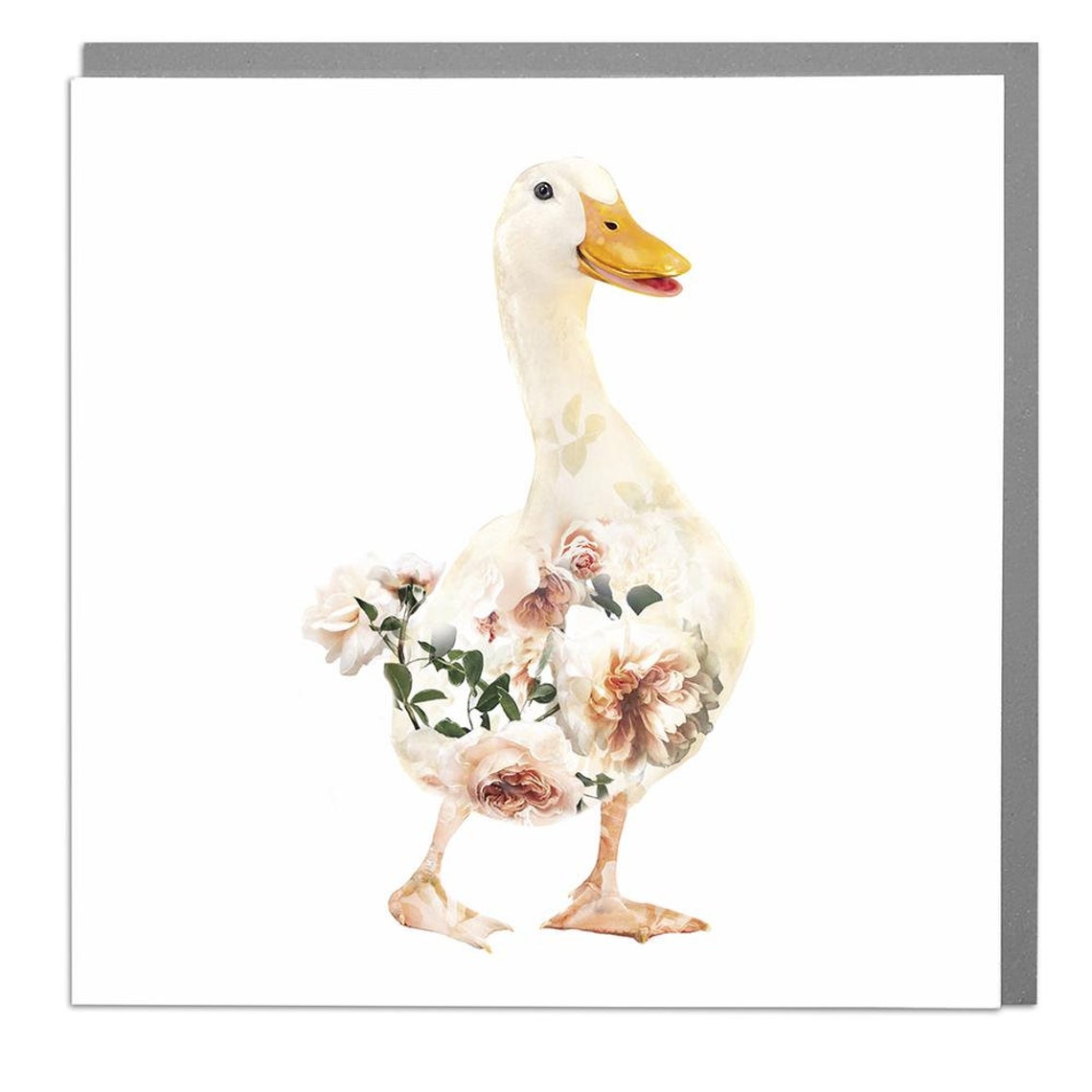 Peking Duck Bird Art Print