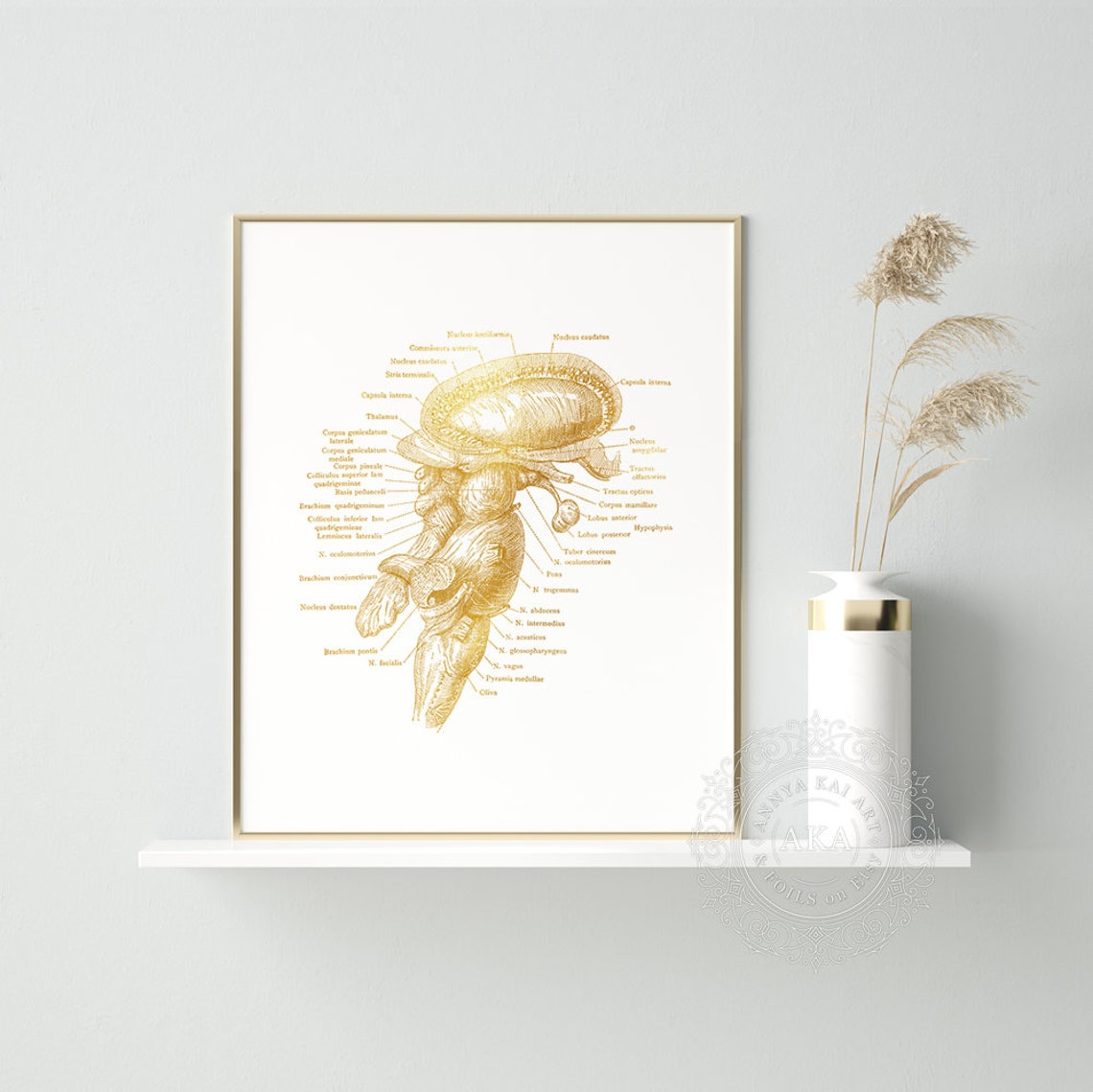 Brain Stem Anatomy Gold Foil Neuroscience Medical Student Wall Art - Image 3