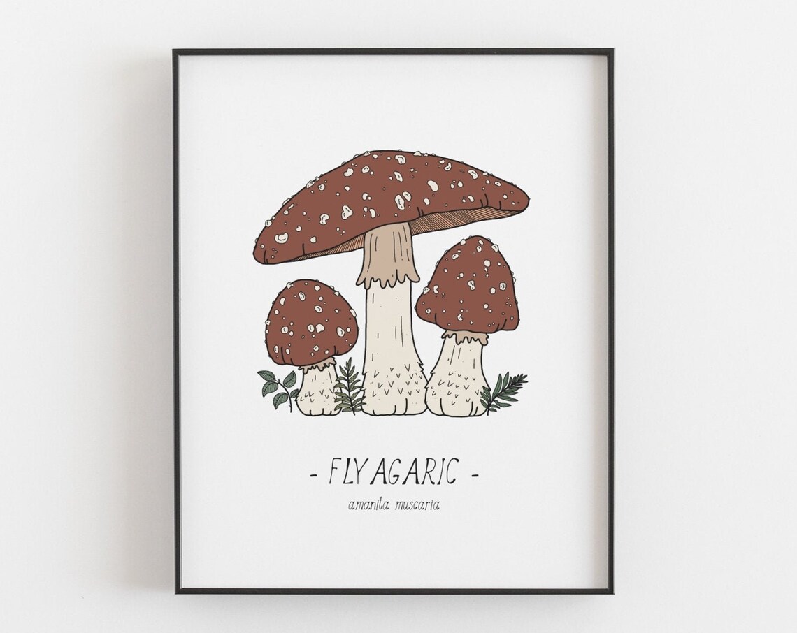 Mushroom Fly Agaric Botanical Art Print, Woodland Decor - Image 3