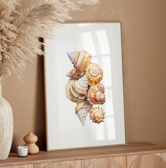 Delicate Watercolor Seashell Collection Coastal Beach Art Poster