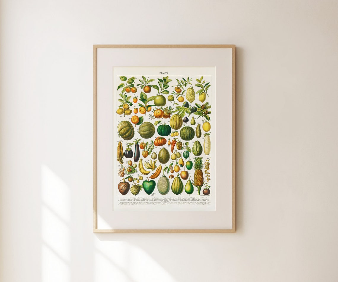 Vintage Fruits Chart Retro Botanical Illustration Kitchen Food Poster - Image 2