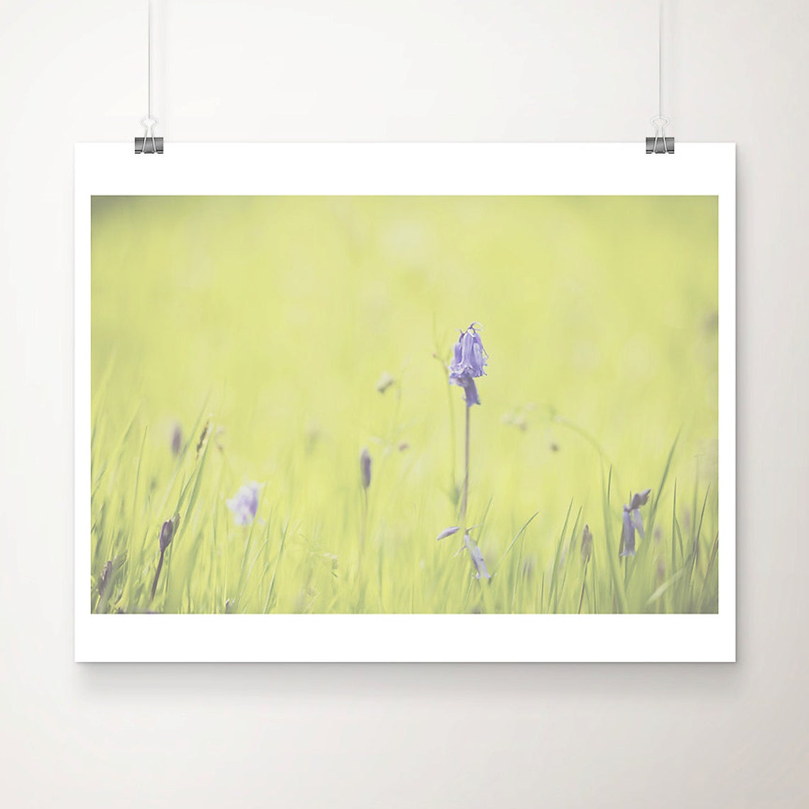 Bluebell Flower Meadow Soft Spring Sunrise Nature Photography Print