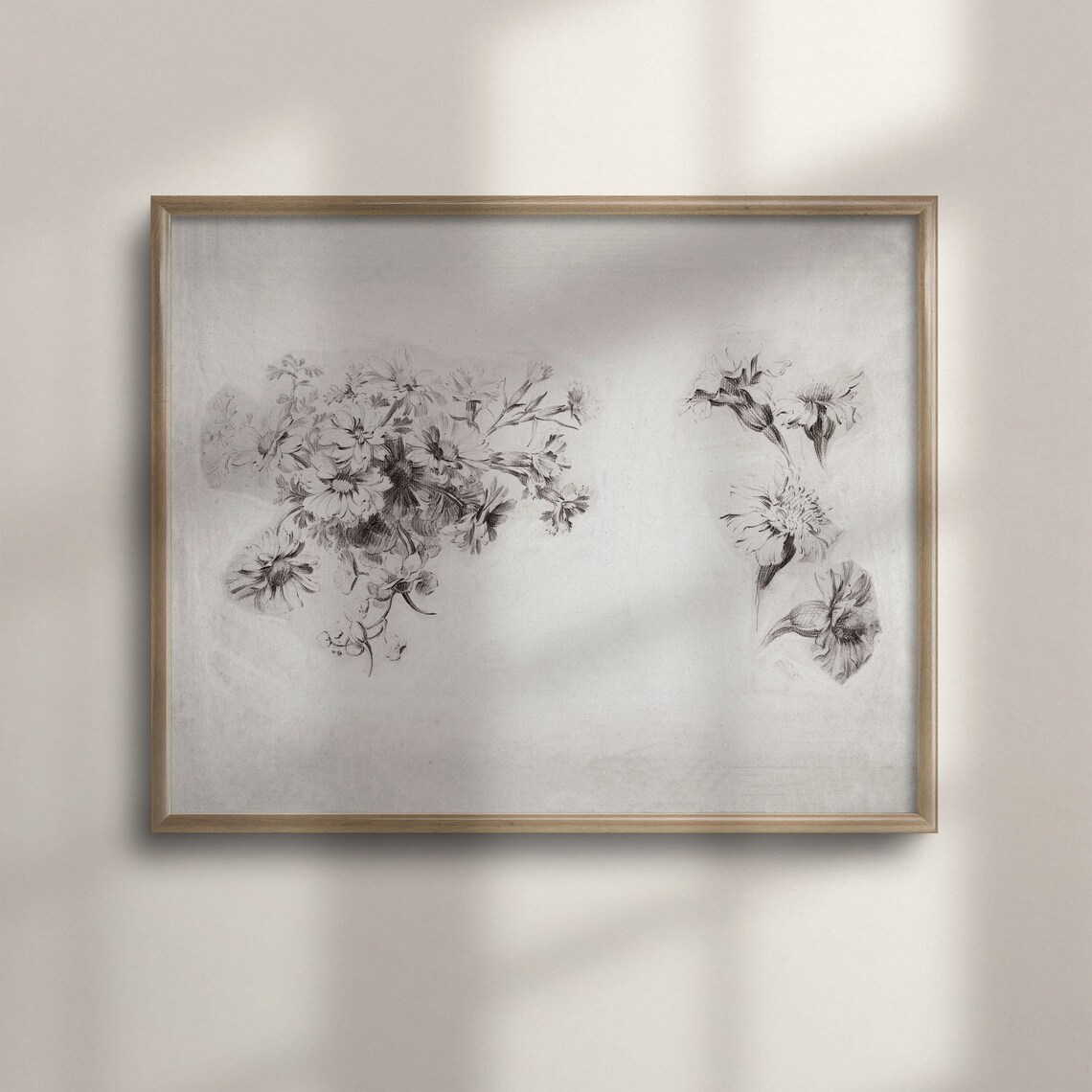 Antique Flower Botanical Pencil Sketch French Country Drawing Poster