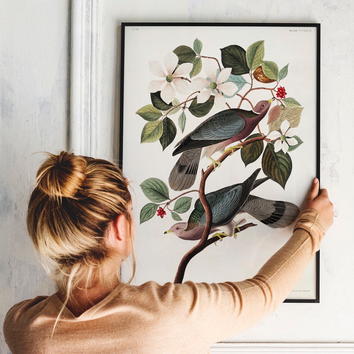 Pigeon Antique Bird Painting, Vintage Art Print - Image 3