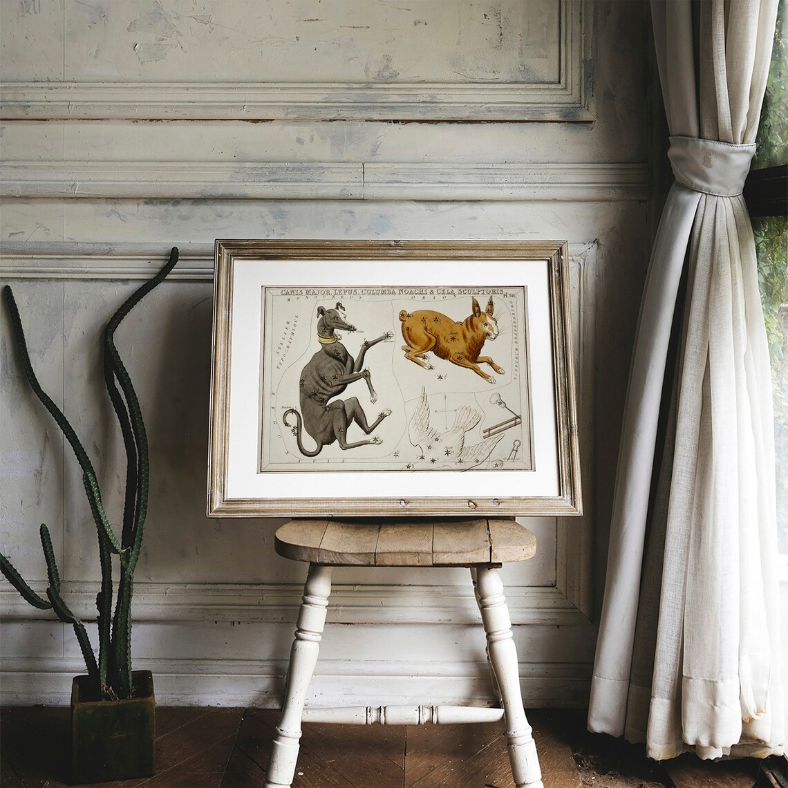 Canis Major Antique Space Painting, Vintage Zodiac Art Print - Image 2