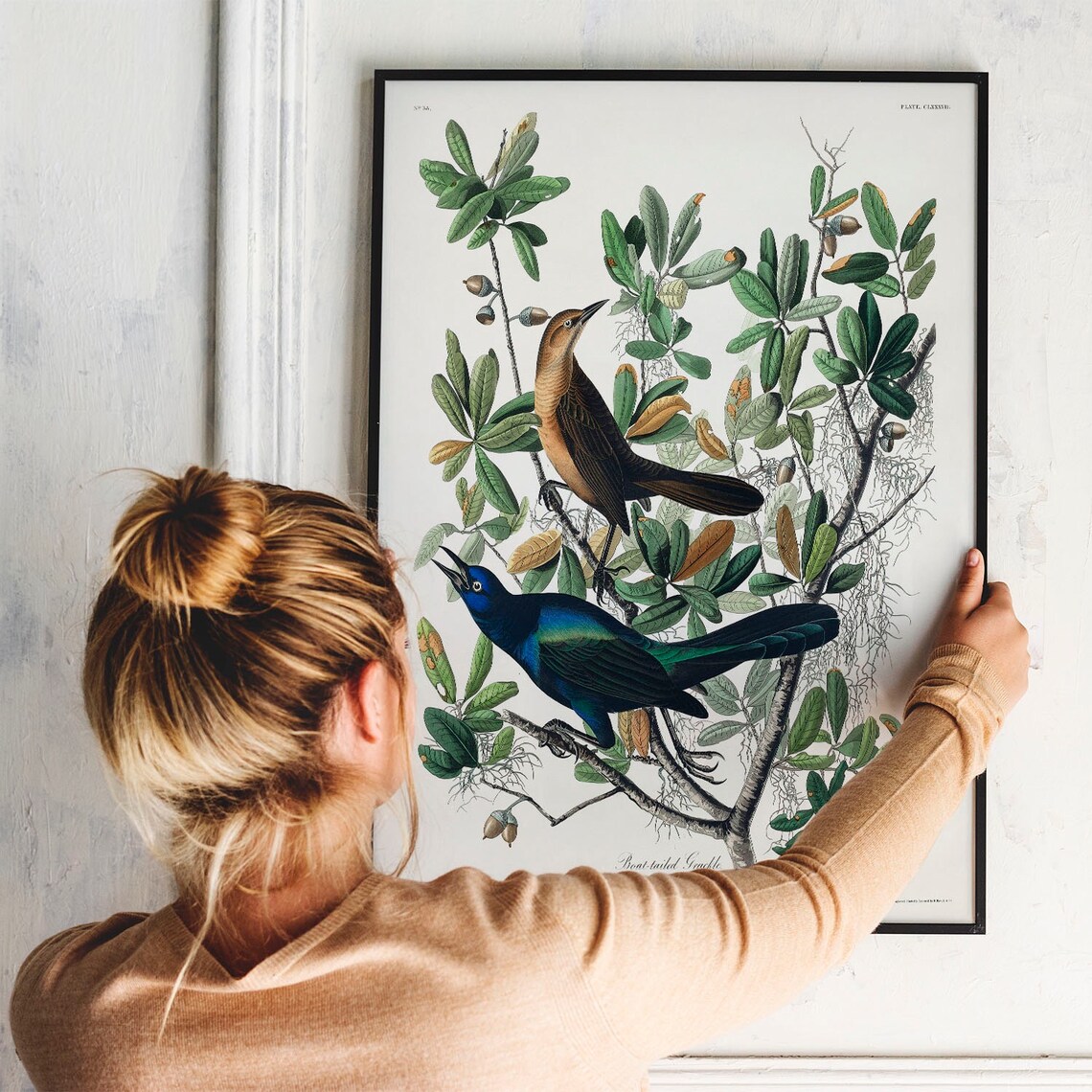 Boat-Tailed Grackle Vintage Bird Art Print - Image 3