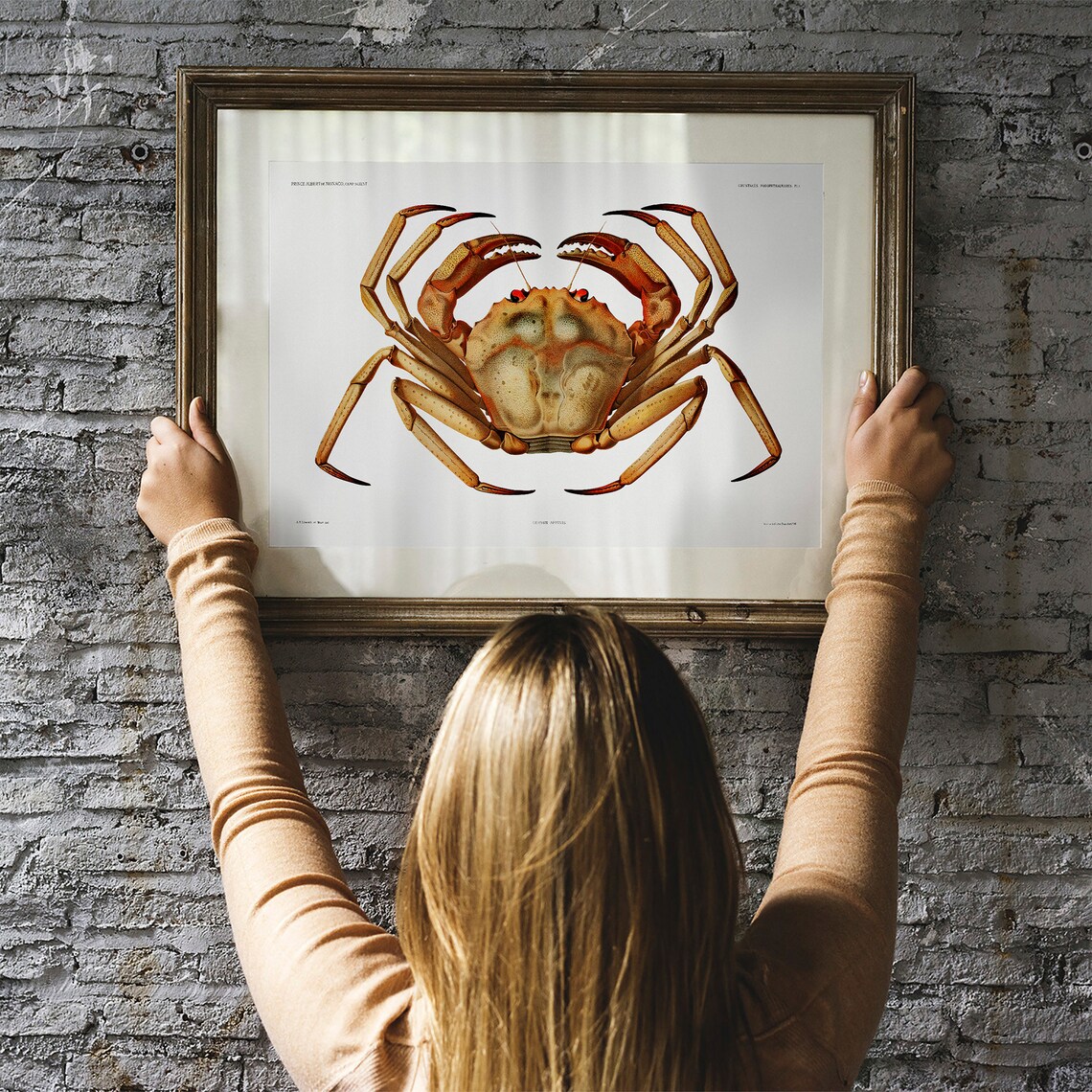 Vintage Crab and Fish Poster, Deep Sea Decor - Image 3