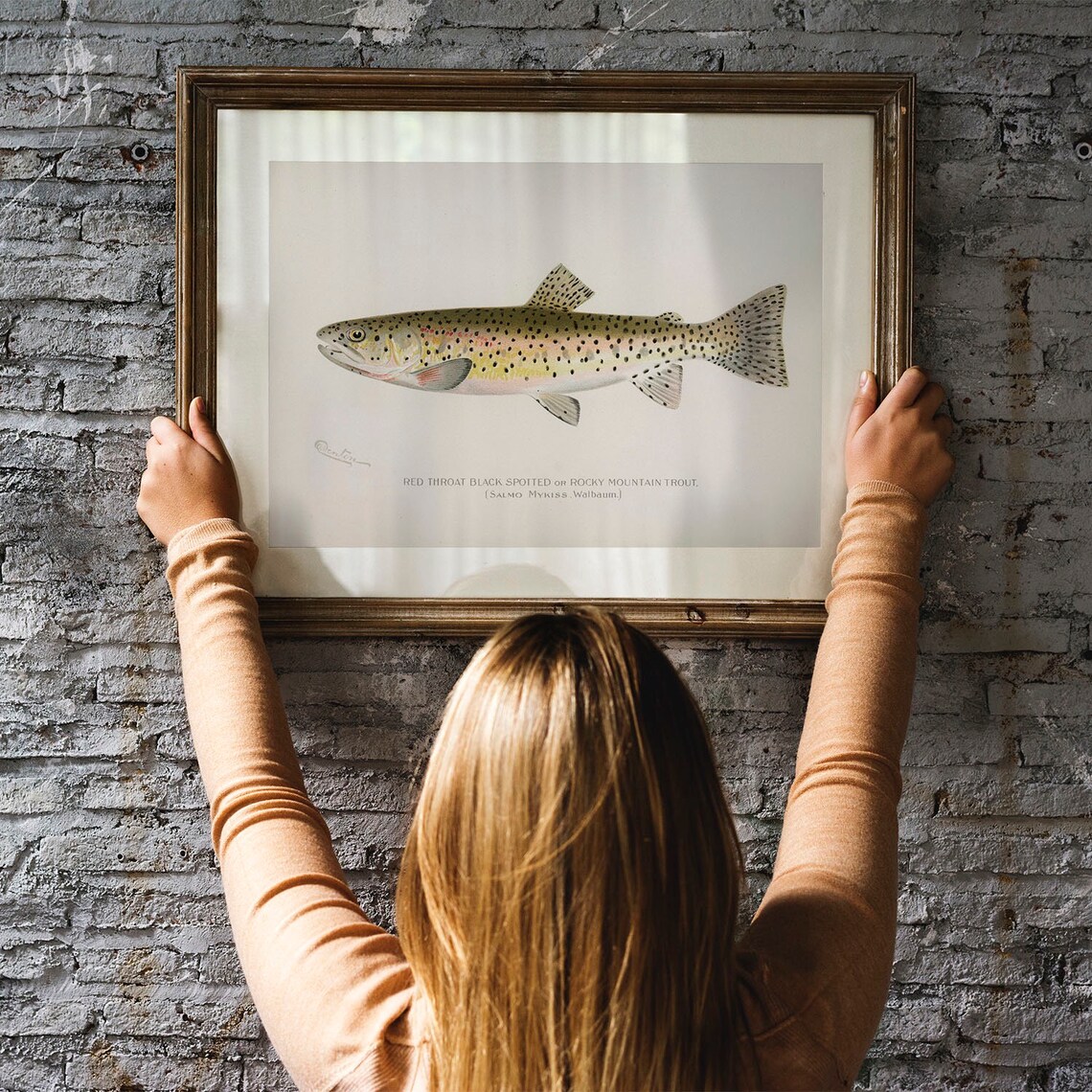 Red Throat Black Spotted Fish Vintage Fishing Poster - Image 3