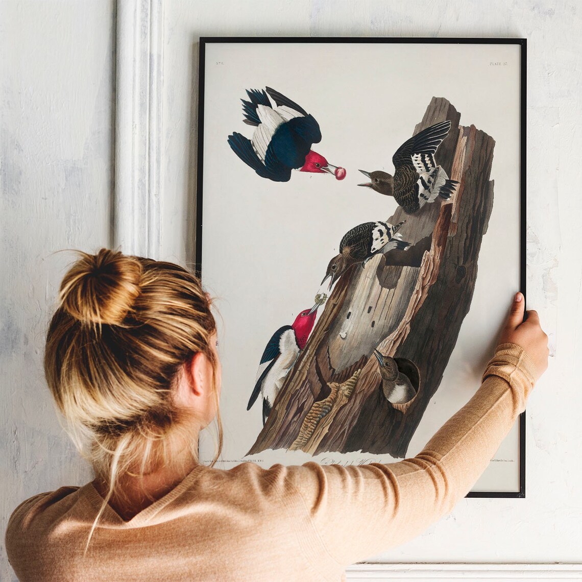 Woodpecker Antique Bird Painting, Vintage Art Print - Image 3
