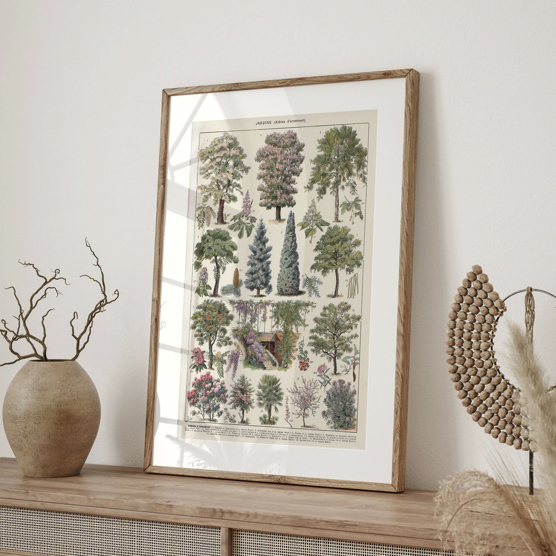 Vintage French Ornamental Tree Chart Botanical Garden Study Poster - Image 4