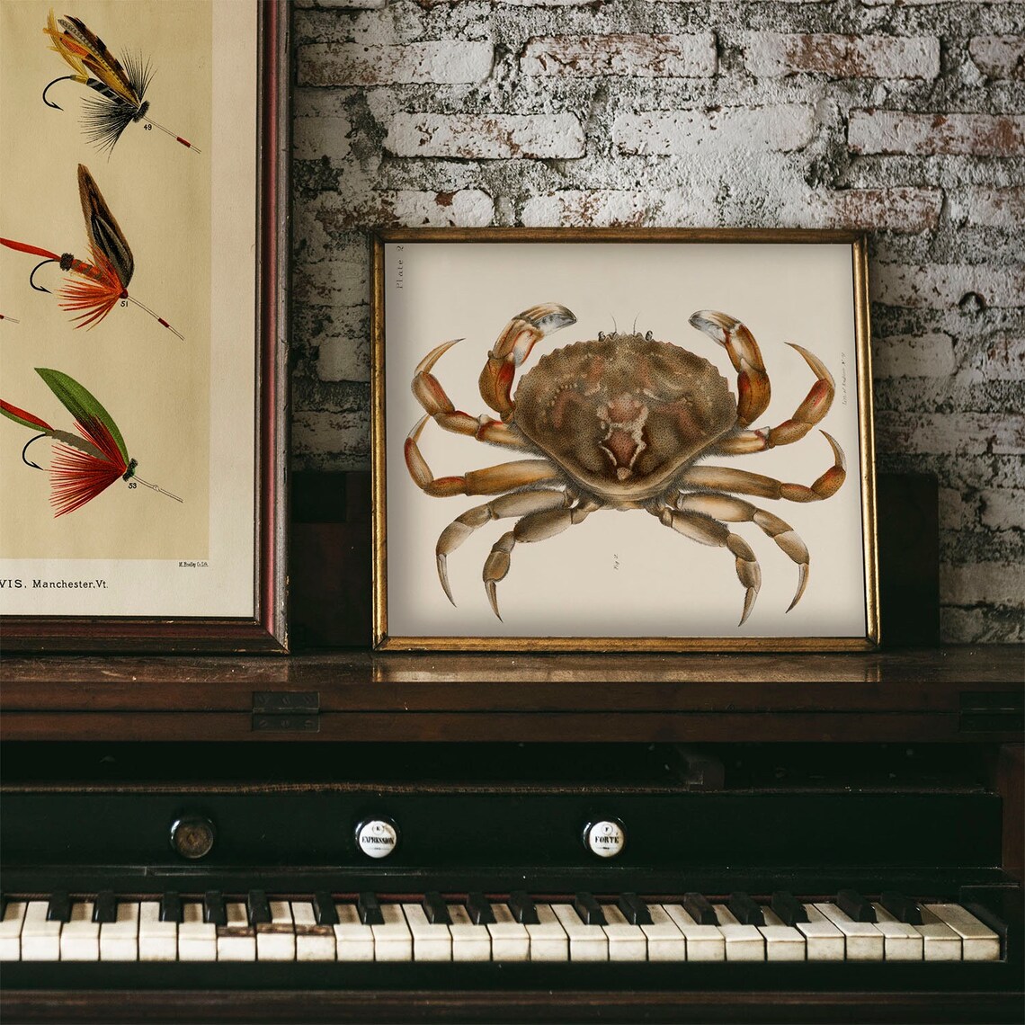 Crab Antique Print Illustration Vintage Poster - Image 4
