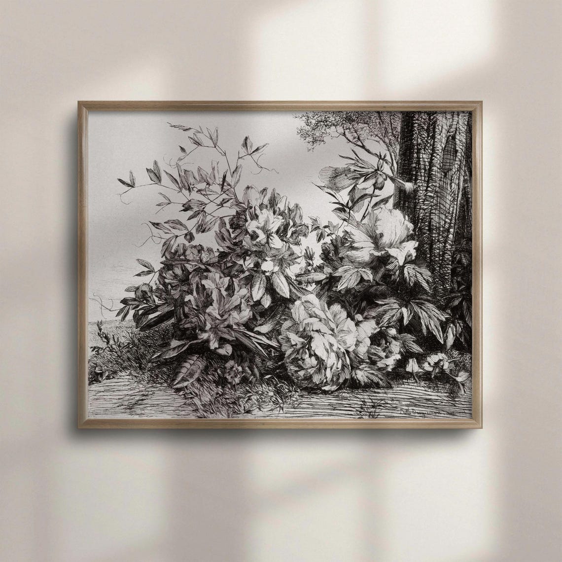 Antique Botanical Engraving Wildflowers Black and White Poster