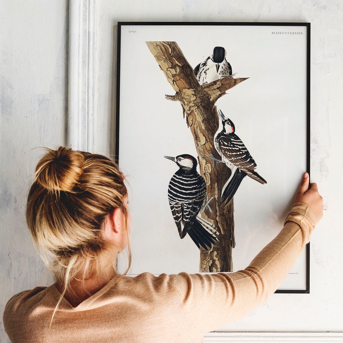 Red Cockaded Woodpecker Vintage Audubon Ornithology Bird Art Poster - Image 3
