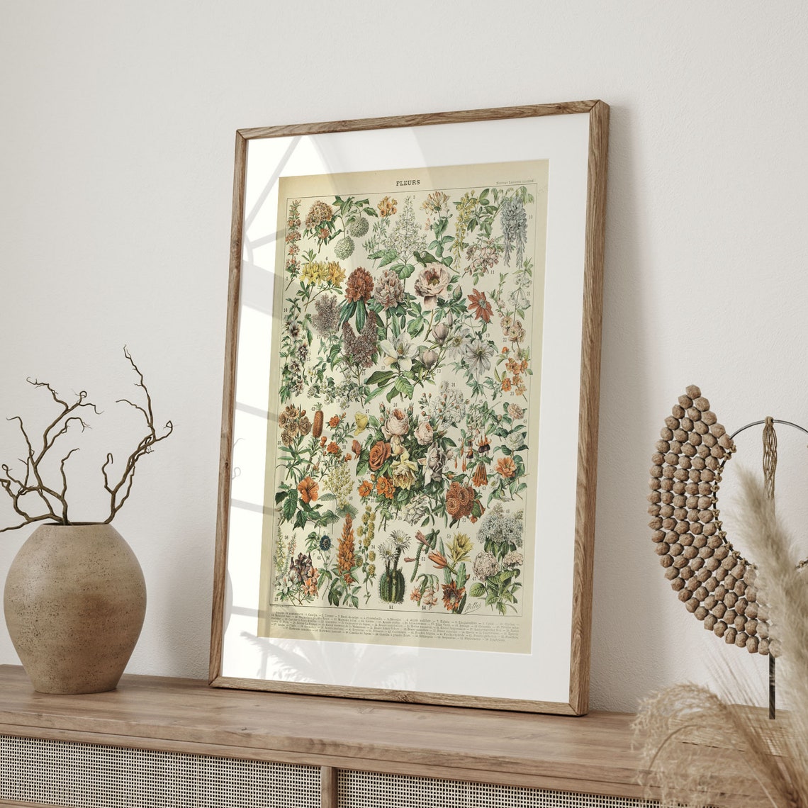Fleurs French Vintage Flower Botanical Identification Chart Poster - Image 4