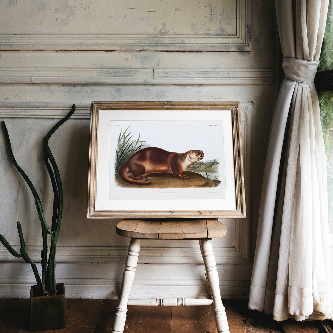 Otter Antique Animal Painting Vintage Drawing Art Print