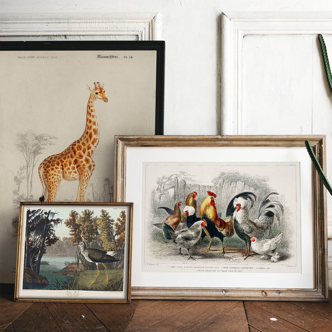 Farm Animals Antique Animal Drawing, Vintage Poster - Image 2