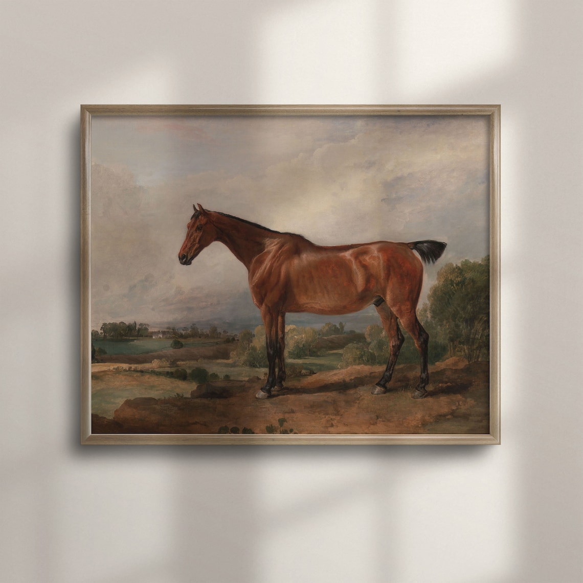 Antique Equestrian Portrait Of A Bay Horse Standing On A Hill Print